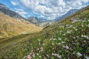 Meadow Gallery: View of the Col du Galibier mountain pass, Savoie, France