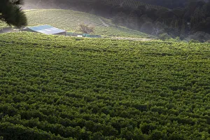 View of Constantia Glen from above. Cape Town. RSA View of Constantia Glen from above. Cape Town. RSA