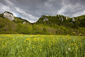 View from the Danube Valley towards Burg Wildenstein Castle with rocks, Leibertingen View from the Danube Valley towards Burg Wildenstein Castle with rocks, Leibertingen