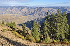 View from Hells Canyon Overlook, Oregon, USA View from Hells Canyon Overlook, Oregon, USA