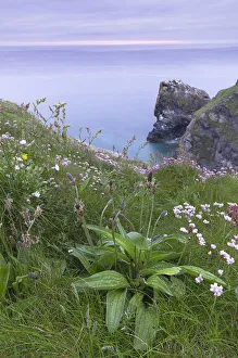 View of Hells Mouth, Cornwall, England, United Kingdom, Europe View of Hells Mouth, Cornwall, England, United Kingdom, Europe
