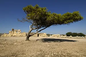 View of the megalithic stone temple of Hagar Qim in Malta dating 3600-3200 BC View of the megalithic stone temple of Hagar Qim in Malta dating 3600-3200 BC