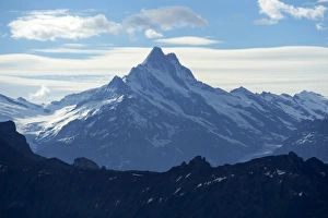 View from Mt Niederhorn to Mt Schreckhorn, Beatenberg municipality, Bernese Oberland View from Mt Niederhorn to Mt Schreckhorn, Beatenberg municipality, Bernese Oberland