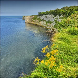 Images Dated 5th September 2012: A view to Old Harry rocks, Jurassic coastline, Dorset, England, United Kingdom