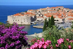 Oleander Gallery: View of Old Town City of Dubrovnik