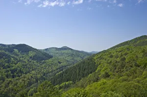 View of the Pfaelzerwald, Palatinate Forest, Klingenmuenster, Deutsche Weinstrasse View of the Pfaelzerwald, Palatinate Forest, Klingenmuenster, Deutsche Weinstrasse