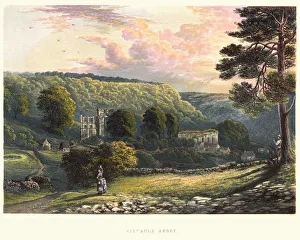 Helmsley Gallery: View of Rievaulx Abbey, 19th Century