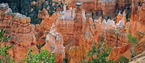 View from Rim Trail into the Queens Garden of Bryce Canyon, Bryce Canyon National Park View from Rim Trail into the Queens Garden of Bryce Canyon, Bryce Canyon National Park