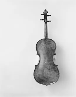 Violin against white background, close-up Violin against white background, close-up