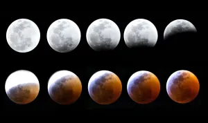 Lunar Eclipse Succession Print: Visual Treasures
