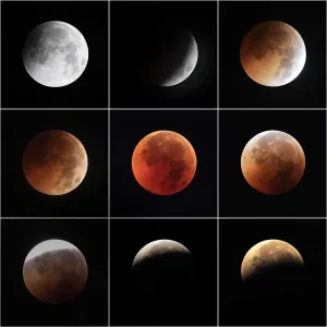 Visual Treasure Prints: Total Lunar Eclipse Black Print: A Celestial Visual Treasure