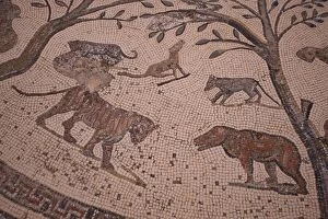 Archaeological Site of Volubilis Gallery: Volubilis Mosaic