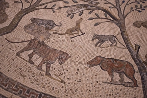 Volubilis Mosaic