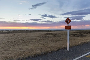 Warning sign Caution Penguins on a coastal road at dusk, Cape Palliser, Wellington Region, New Zealand Warning sign Caution Penguins on a coastal road at dusk, Cape Palliser, Wellington Region, New Zealand