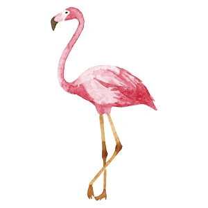 <b class=qtipBold><figcaption>Watercolor Flamingo</figcaption></b><br>Watercolor illustration. Watercolor Flamingo