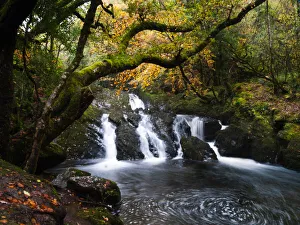 Waterfall in Glengarriff Nature Reserve, Ireland Waterfall in Glengarriff Nature Reserve, Ireland