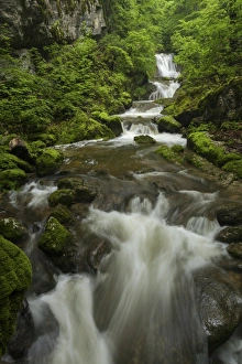 Waterfall in Twannbachschlucht gorge in the Swiss Jura Mountains, Biel Waterfall in Twannbachschlucht gorge in the Swiss Jura Mountains, Biel