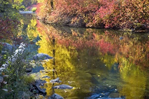 Images Dated 19th October 2008: Wenatchee River in autumn, Stevens Pass, Leavenworth, Washington State, USA