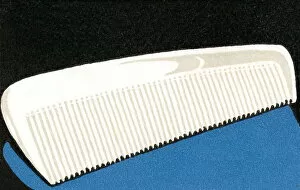 Images Dated 29th August 2003: White comb