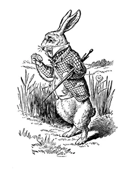 White Rabbit, Alices Adventures in Wonderland White Rabbit, Alices Adventures in Wonderland