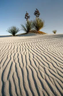 Images Dated 8th December 2013: White Sands National Monument scenic