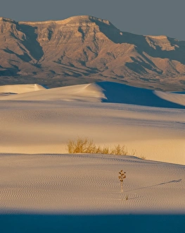 <b class=qtipBold><figcaption>White Sands National Monument scenic</figcaption></b><br>Wide angle view of White Sands NM<br><em>© Russell Burden</em> White Sands National Monument scenic
