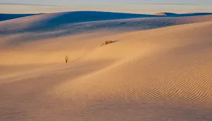 <b class=qtipBold><figcaption>White Sands National Monument scenic</figcaption></b><br>Wide angle view of White Sands NM<br><em>© Russell Burden</em> White Sands National Monument scenic