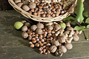 Wicker basket with mixed nuts, Walnuts -Juglans regia-, Peanuts -Arachis hypogaea Wicker basket with mixed nuts, Walnuts -Juglans regia-, Peanuts -Arachis hypogaea