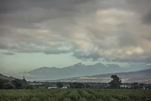 Wide angle shot of plantations with gray clouds above, and mountains in the background Wide angle shot of plantations with gray clouds above, and mountains in the background