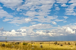 Toliara Gallery: Wide grass landscape, clouds, Isalo National Park, at Ranohira, Madagascar