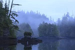 Wilderness scenery in Clam Cove near Browning Passage, Northern Vancouver Island, British Columbia, Canada Wilderness scenery in Clam Cove near Browning Passage, Northern Vancouver Island, British Columbia, Canada