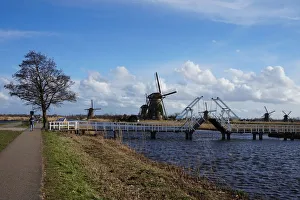 Windmills, Bridge, Tree at kinderdijk, the Netherlands Windmills, Bridge, Tree at kinderdijk, the Netherlands