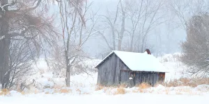 <b class=qtipBold><figcaption>Winter in the country</figcaption></b><br>Taken on New Years day out in the country.<br><em>© Jim Cumming</em> Winter in the country
