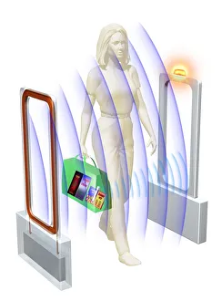Detecting Gallery: Woman walking through security gate, carrying bag, contents made visible