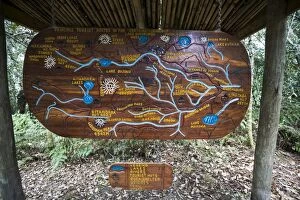 Wooden sign depicting hiking trails of the Central Circuit, Rwenzori Mountains, Uganda
