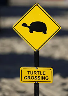 Yellow warning sign turtle crossing, turtles crossing the beach for laying their eggs, Manavgat, Turkey Yellow warning sign turtle crossing, turtles crossing the beach for laying their eggs, Manavgat, Turkey