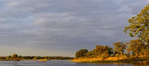 Zambezi River view and small waterbuck (Kobus ellipsiprymnus) herd. Victoria Falls. Zambia Zambezi River view and small waterbuck (Kobus ellipsiprymnus) herd. Victoria Falls. Zambia
