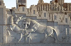 Zoroastrian bas relief depicting a lion hunting a bull, Persepolis, Iran Zoroastrian bas relief depicting a lion hunting a bull, Persepolis, Iran