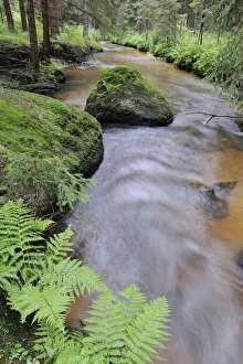Zwettlbach brook, Gross Gerungs, Waldviertel region, Lower Austria, Austria, Europe Zwettlbach brook, Gross Gerungs, Waldviertel region, Lower Austria, Austria, Europe