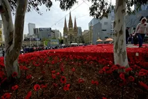 Gold Coast Collection: 5000 Poppies