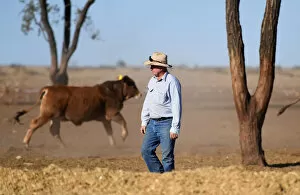 Images Dated 15th August 2018: Qld Drought