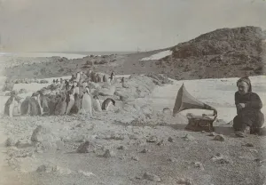 What's New: British Antarctic Expedition 1907-09 (Nimrod) Collection