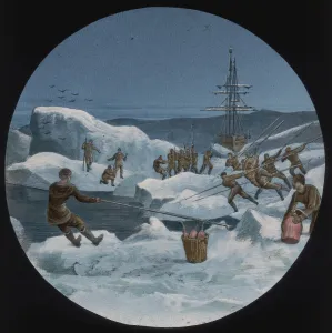 Wick Gallery: Homeward bound (cutting a way through the ice)