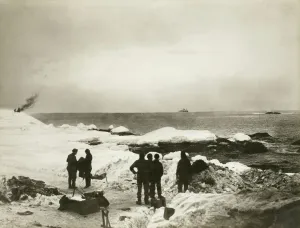 Trans-Antarctic Expedition Prints: Arrival of the rescue ship off Elephant Island Print