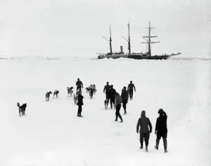 Trans-Antarctic Expedition Prints: Men and dogs on the ice, Endurance in background Print