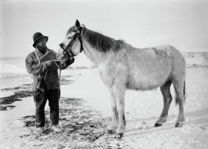Lt Henry Bowers and pony Victor. October 1911 Lt Henry Bowers and pony Victor. October 1911