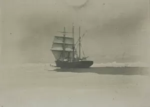 The Nimrod charging the ice of the Sound with her foresails set