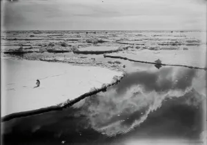 In the Pack. Sky reflections. December 28th 1910 In the Pack. Sky reflections. December 28th 1910