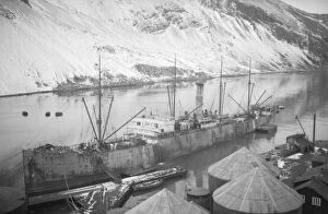 Related Images Gallery: S.S. Coronda at Leith, South Georgia