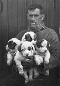 Images Dated 5th December 2014: Tom Crean and the pups